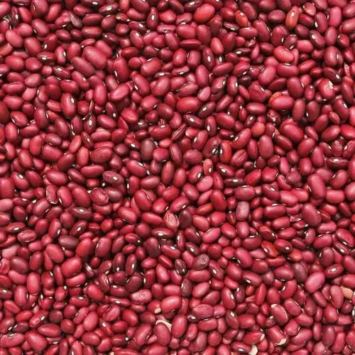 Small Red Beans